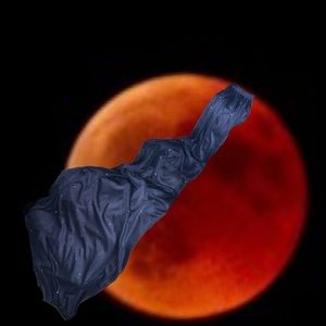 S LEVINE WIDE LEG PALAZZO MED NWT